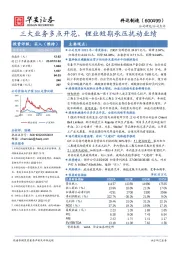 三大业务多点开花，锂业短期承压扰动业绩