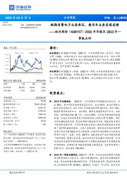 2022年年报及2023年一季报点评：短期消费电子业务承压，乘用车业务实现高增