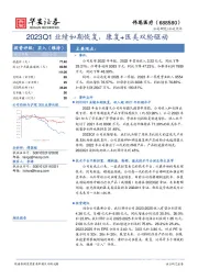 2023Q1业绩如期恢复，康复+医美双轮驱动