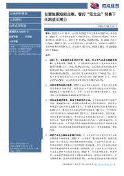 自营拖累短期业绩,看好“双主业”背景下长期成长潜力