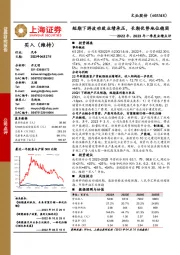 2022年、2023年一季度业绩点评：短期下游波动致业绩承压，长期优势地位稳固