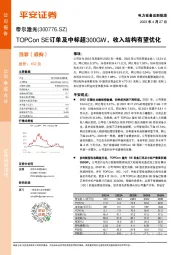 TOPCon SE订单及中标超300GW,收入结构有望优化