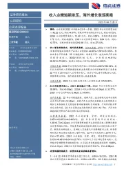 收入业绩短期承压,海外增长表现亮眼