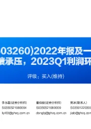 2022年报及一季报点评:2022年业绩承压,2023Q1利润环比大幅改善