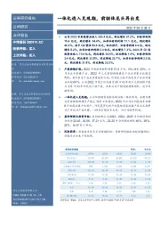 一体化进入兑现期,前驱体龙头再出发