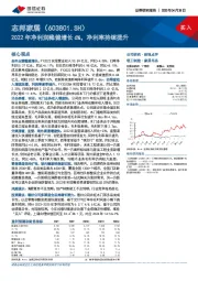 2022年净利润稳健增长6%，净利率持续提升