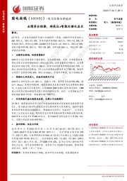 业绩符合预期,特高压+智能化催化成长