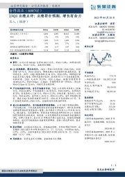 23Q1业绩点评:业绩符合预期,增长有余力