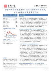 合盛硅业年报深度点评：需求偏弱业绩短期承压，光伏+硅基材料未来成长可期