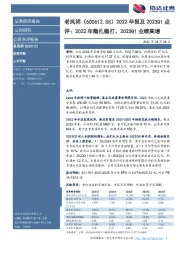 2022年报及2023Q1点评:2022年稳扎稳打、2023Q1业绩高增