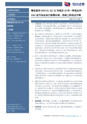 22年报及23年一季报点评：23Q1松节油业务已剥离出表，轻装上阵拐点可期