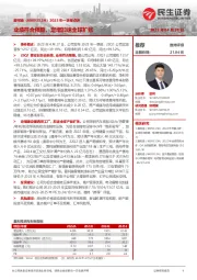 2023年一季报点评:业绩符合预期,定增加速全球扩张