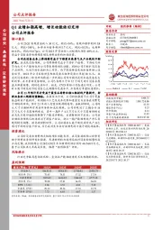 Q1业绩如期高增,增长动能依旧充沛