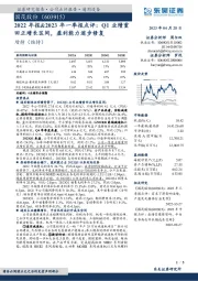 2022年报&2023年一季报点评：Q1业绩重回正增长区间，盈利能力逐步修复