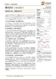 品牌矩阵升级，渠道效率优化