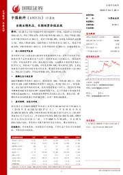 当期业绩承压,长期投资价值显现