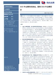 2022年业绩有所波动,期待2023年业绩拐点