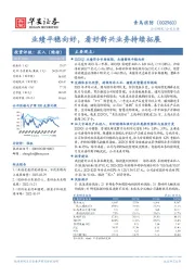 业绩平稳向好,看好新兴业务持续拓展