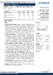 晶圆代工龙头，产能扩张与技术追赶并举