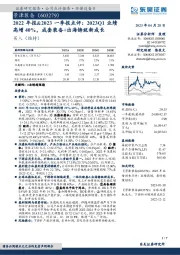 2022年报&2023一季报点评:2023Q1业绩高增40%,成套装备+出海铸就新成长