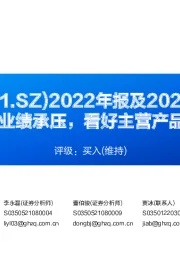 2022年报及2023年一季报点评:2023Q1业绩承压,看好主营产品盈利修复