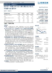 2023年一季报点评:收入增长彰显龙头实力,中期景气有望回升