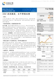 23Q1表现靓丽，全年势能延续