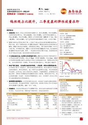 钨丝线占比提升,二季度盈利弹性放量在即