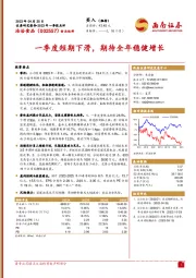 一季度短期下滑,期待全年稳健增长