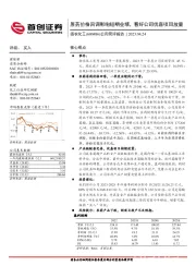 公司简评报告：原药价格回调影响短期业绩，看好公司优嘉项目放量