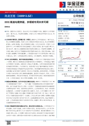 800G高速电缆突破，多领域布局未来可期