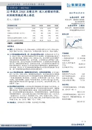 22年报及23Q1业绩点评：收入的驱动仍强，利润超预期是锦上添花