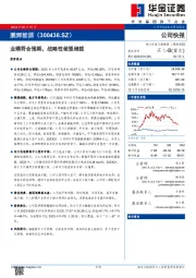 业绩符合预期,战略性做强储能