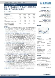 2022年年报&2023Q1季报点评:业绩超市场预期,新产品周期开启在即