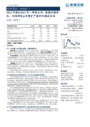 2022年报&2023年一季报点评:短期业绩承压,加码研发&定增扩产看好长期成长性