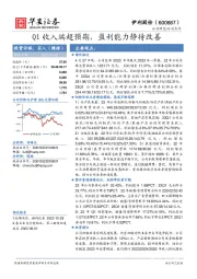 Q1收入端超预期，盈利能力静待改善