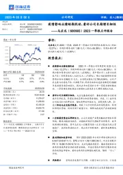 2023一季报点评报告:疫情影响业绩短期扰动,看好公司长期增长韧性