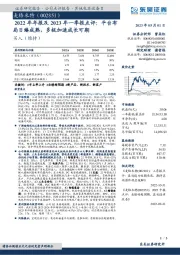 2022年年报及2023年一季报点评：平台布局日臻成熟，多极加速成长可期