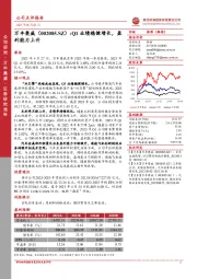 Q1业绩稳健增长，盈利能力上升