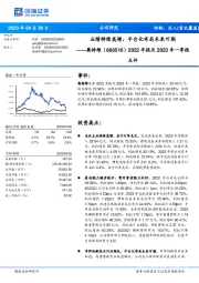 2022年报及2023年一季报点评：业绩持续高增，平台化布局未来可期