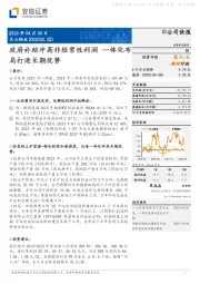 政府补助冲高非经常性利润 一体化布局打造长期优势