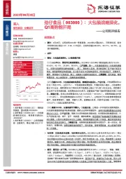 公司简评报告：大包装战略深化，Q1高势能开局