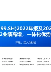 2022年报及2023一季报点评:2022业绩高增,一体化优势彰显