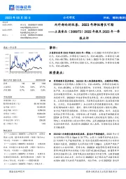 2022年报及2023年一季报点评:内外部向好改善,2023年弹性增长可期