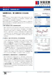 短期需求承压,算力高需求助力长远发展