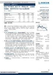 2022年年报及2023年一季报点评:业绩增长稳健,看好军用电子龙头发展前景