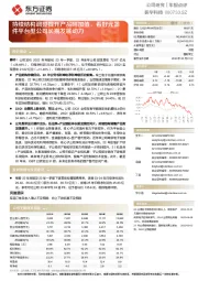 持续结构调整提升产品附加值,看好元器件平台型公司长期发展动力