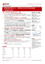 睿创微纳点评报告:一季度业绩大增471%，非制冷红外龙头军民品双驱动