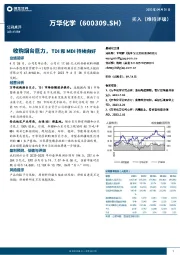 收购烟台巨力，TDI和MDI持续向好