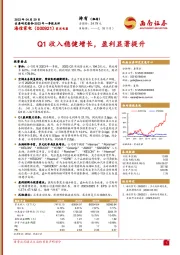 Q1收入稳健增长，盈利显著提升
